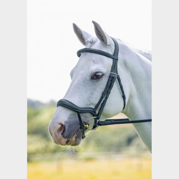 Velociti Ergonomic Flash Bridle Black, Black