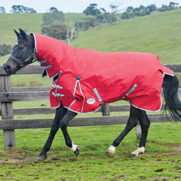 WeatherBeeta ComFiTec Classic Combo Neck 220g Medium Weight Turnout Rug, Red