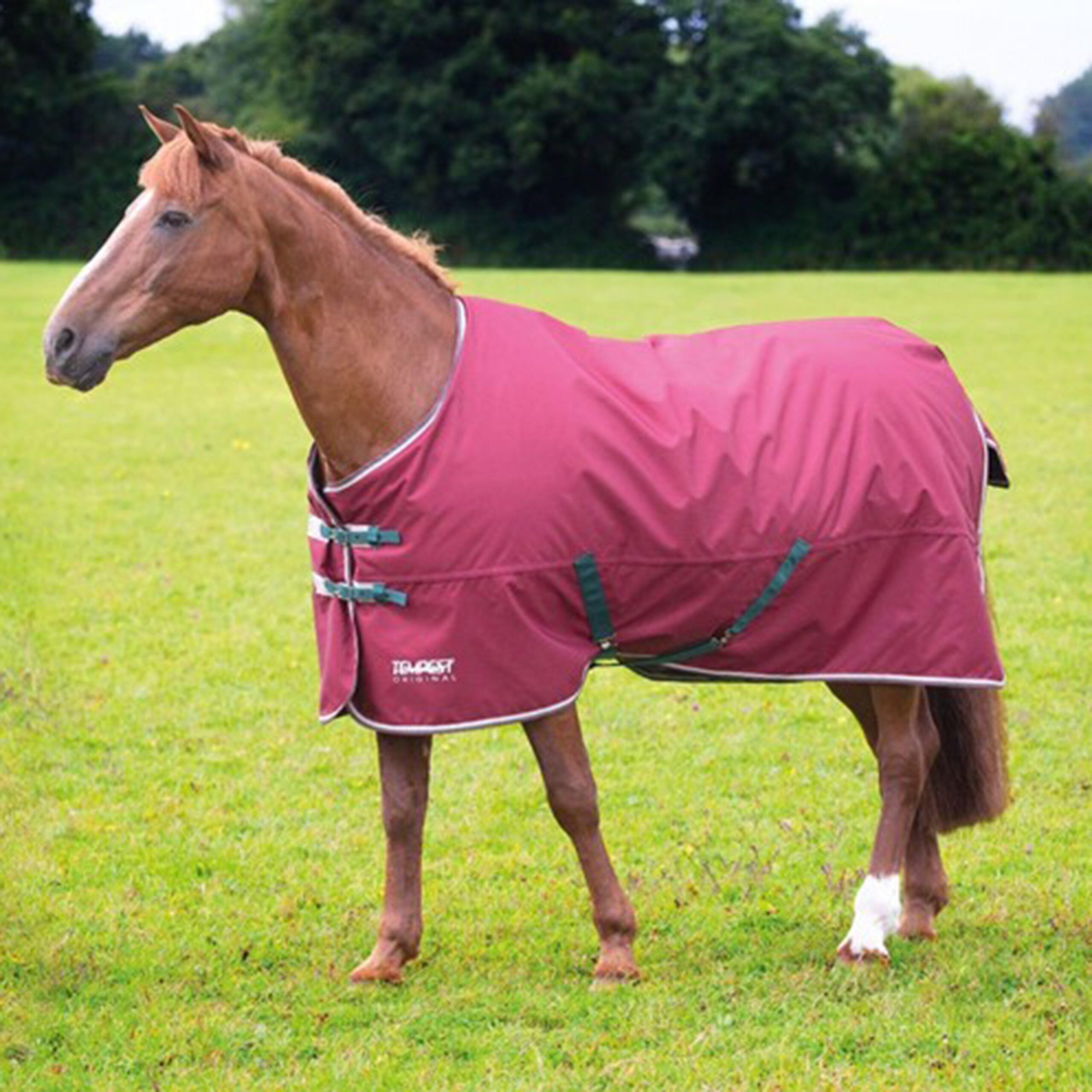 Shires Tempest Original 200g Turnout Rug, Red