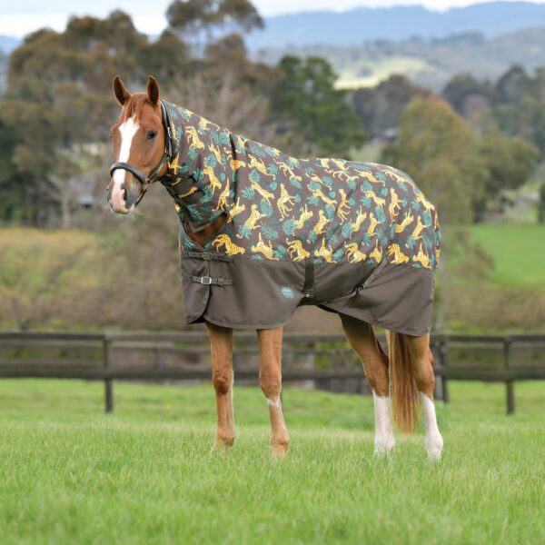 WeatherBeeta ComFiTec Tyro Combo Neck Medium Rug