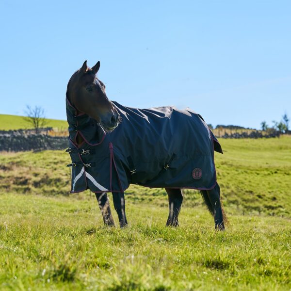 Royal Scot Original 100G Light-Medium Weight Combo Neck Turnout Rug Black/Wine, Black/Wine