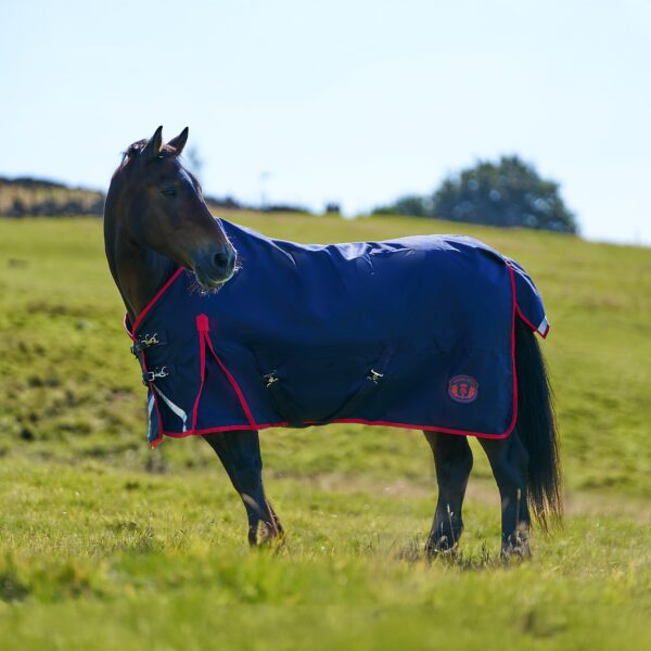 Royal Scot Original 50G Lightweight Standard Neck Turnout Rug Navy/Red, Navy/Red