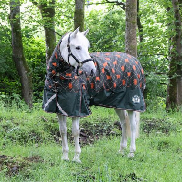 Royal Scot Original 200G Light-Medium Combo Neck Turnout Rug - Green, Green