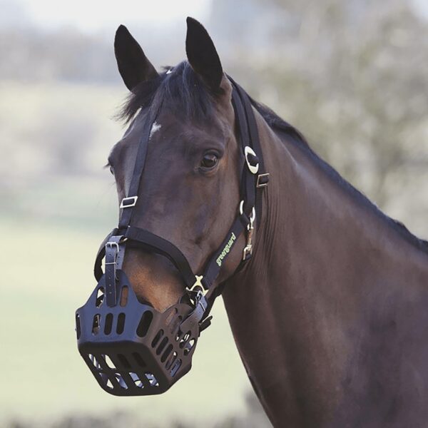 Greenguard Grazing Muzzle, Black