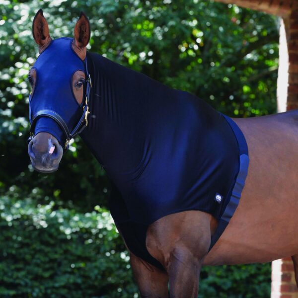 WeatherBeeta Stretch Hood with Zip Black, Black