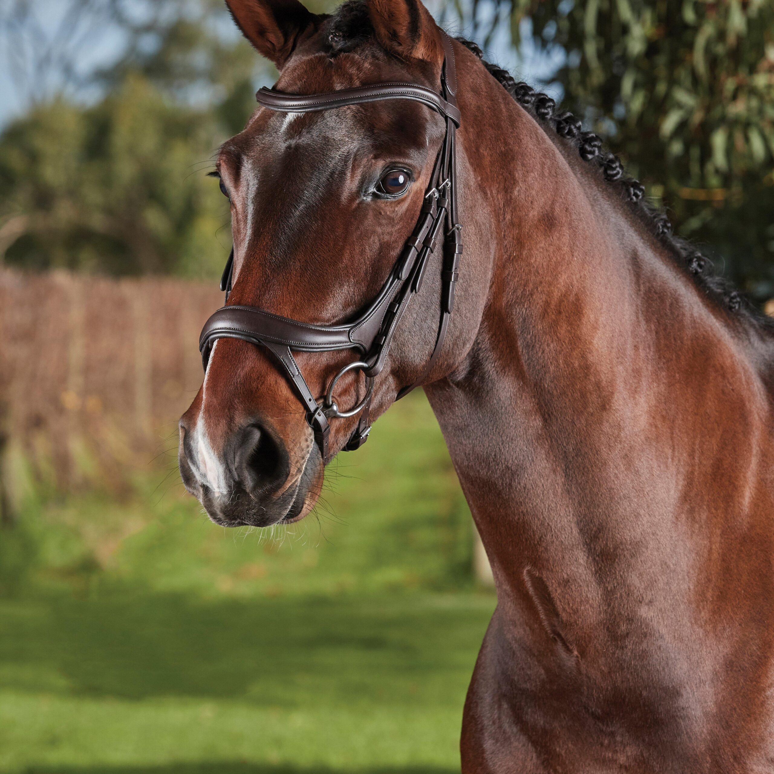 Collegiate ComFiTec Vogue Anatomical Bridle Brown, Brown