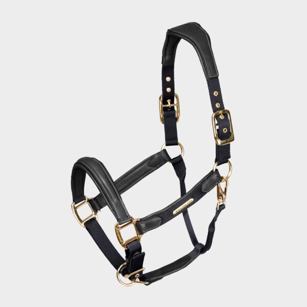 Velociti Velociti Lusso Padded Leather Headcollar, Black