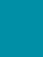 Ribble Touch Up Paint Endurance SL Teal