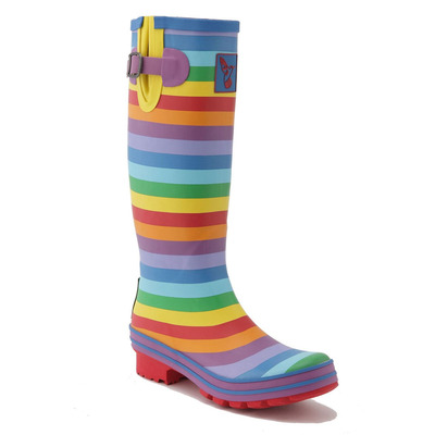 Evercreatures Rainbow Tall Wellies