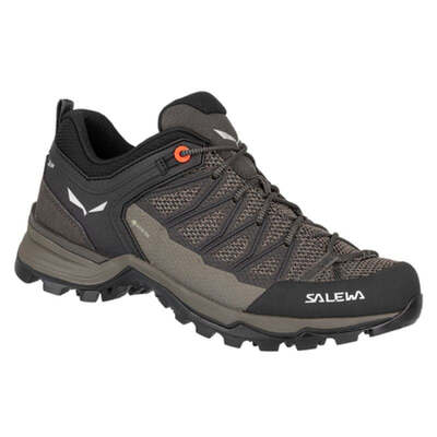 Salewa Womens Mountain Trainer Lite GTX Trekking Shoes - Brown